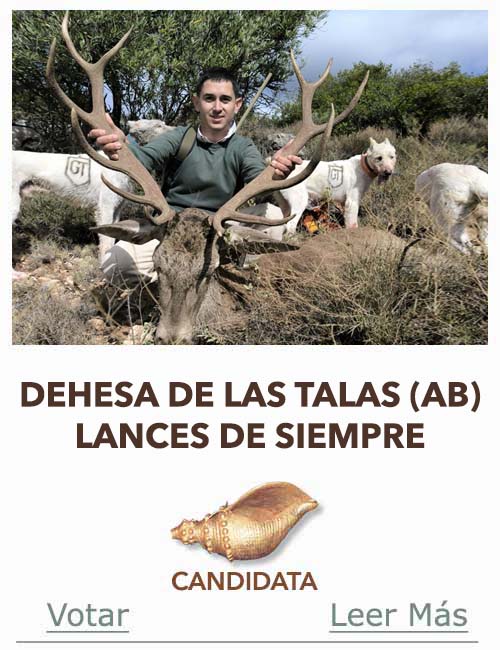 Candidatas 2025 2026 AB Campete